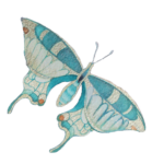 cropped-papillon-entier.png