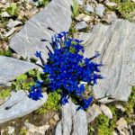 beaute-nature-priere