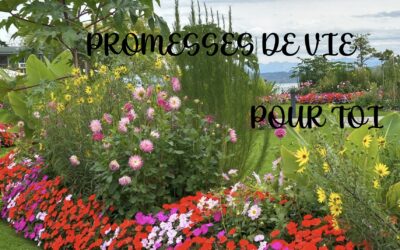 Promesses de vie pour toi