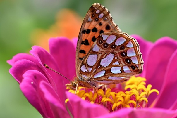 Le Tout-Puissant n'agit pas seul