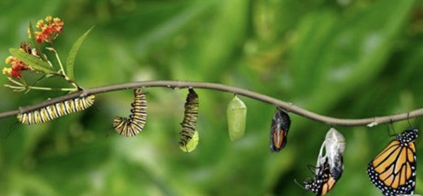 Le Tout-Puissant n'agit pas seul