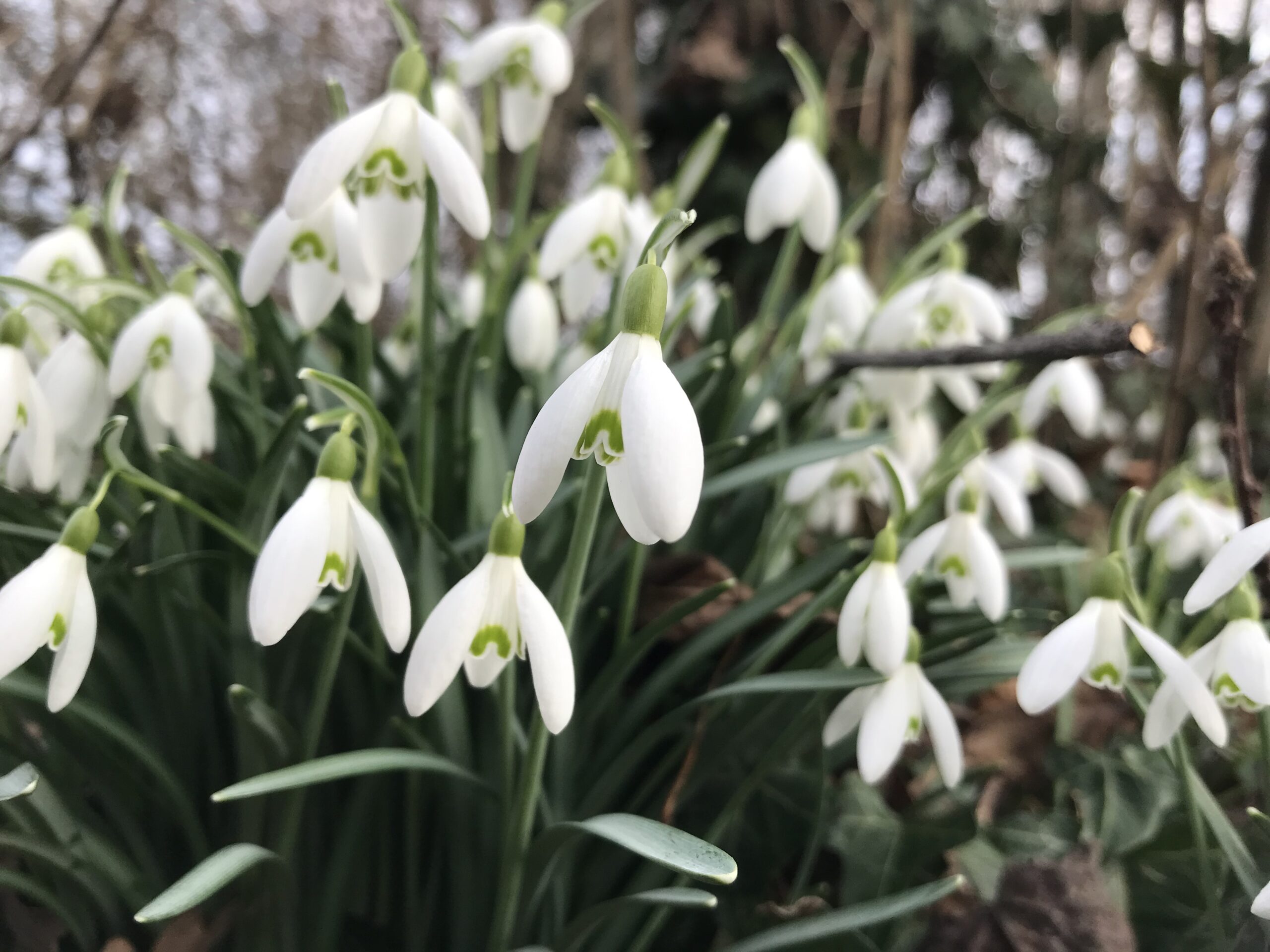 Pauses inspirantes 5