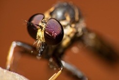 CHANGER_DE_REGARD_3